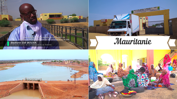 « le PGIRE en Mauritanie », un Catalyseur de Développement Durable dans l’espace du bassin du fleuve Sénégal